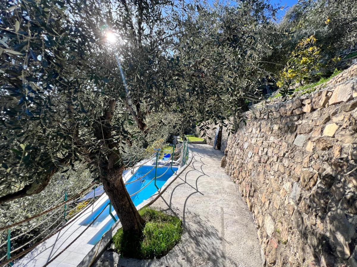 Villa Di Campagna Con Vista Mare 5 Camere Da Letto Pampara Bagian luar foto